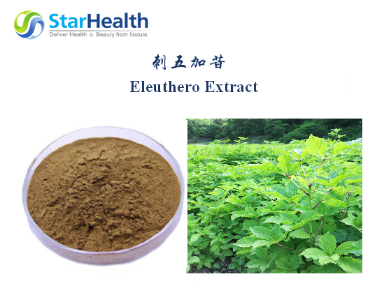 刺五加苷 - Eleutheroside