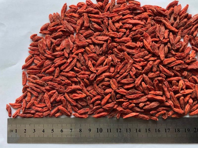 枸杞 - Goji Berry