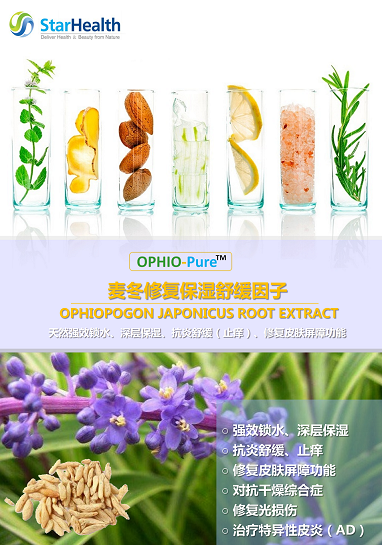 Ophiopogon Japonicus Root Extract - 